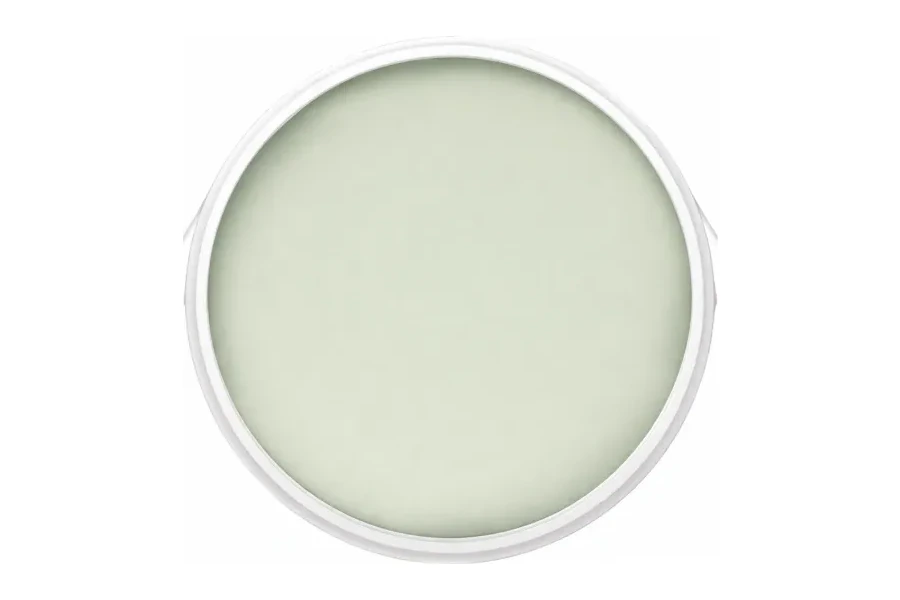 «Yagel «DECOVER PAINT» (0,5 кг)